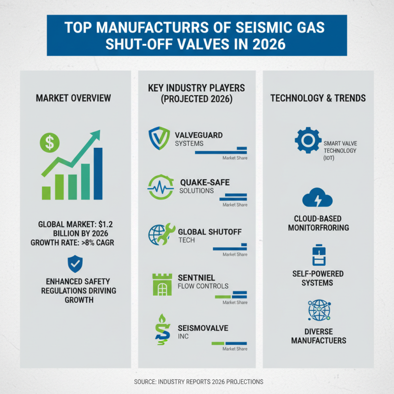 2026 Top Seismic Gas Shut Off Valve Options for Buyers?