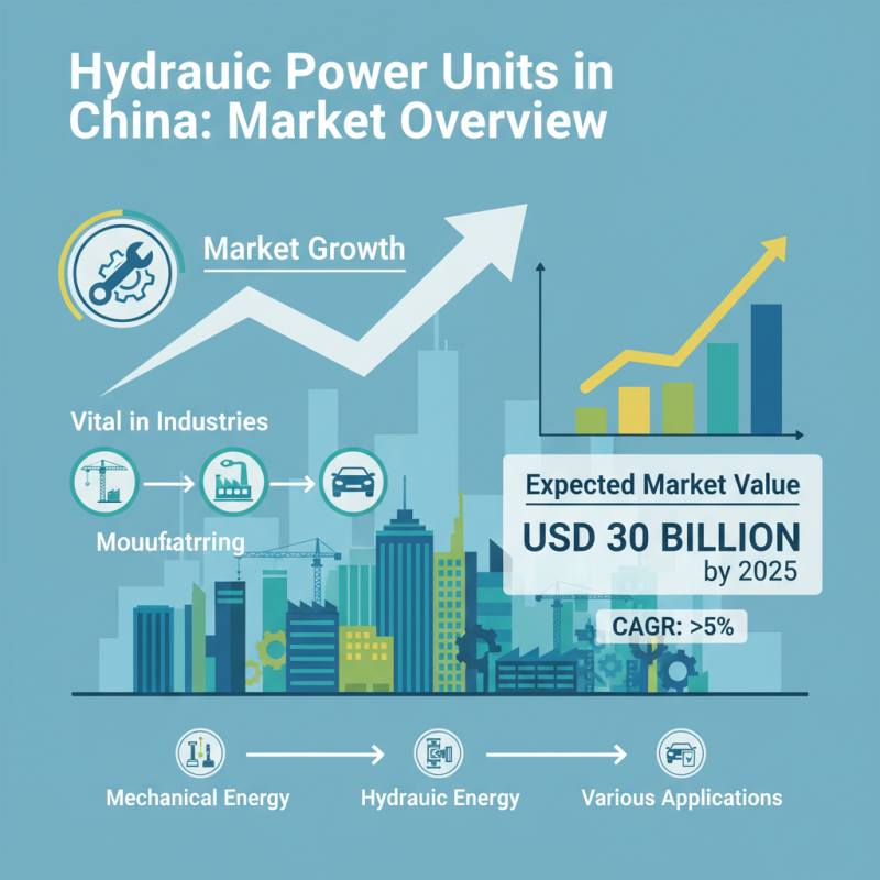 China Best Hydraulic Power Unit Options for Efficient Performance?