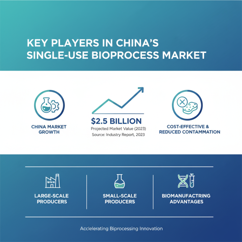 Top 10 Single Use Bioprocess Systems in China Revealed?