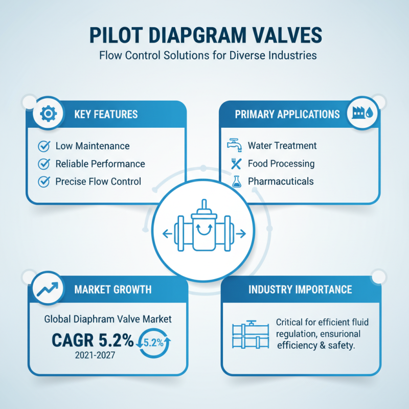 Best Pilot Diaphragm Valve in China for Global Buyers?