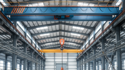 2026 How to Choose the Best Trolley Crane Hoist for Your Needs?