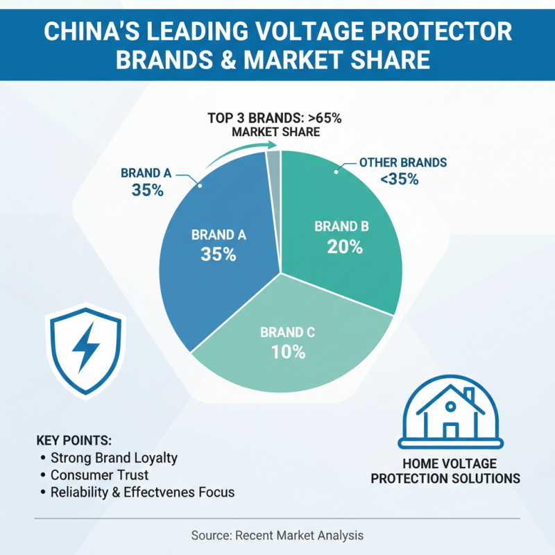 China Top Appliance Voltage Protector Solutions for Your Home?