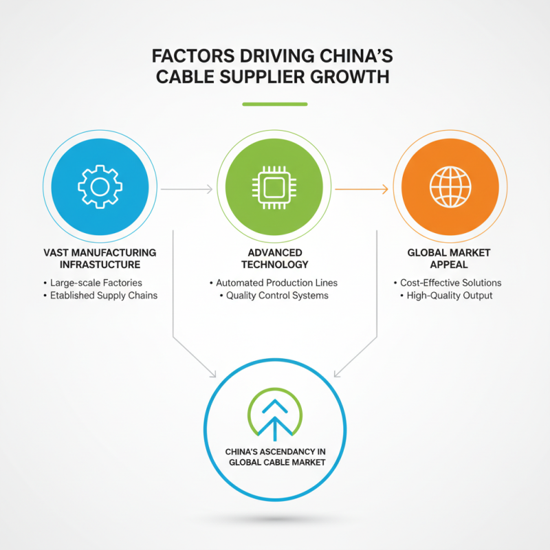 China Top Cable Assembling Suppliers for Global Buyers?