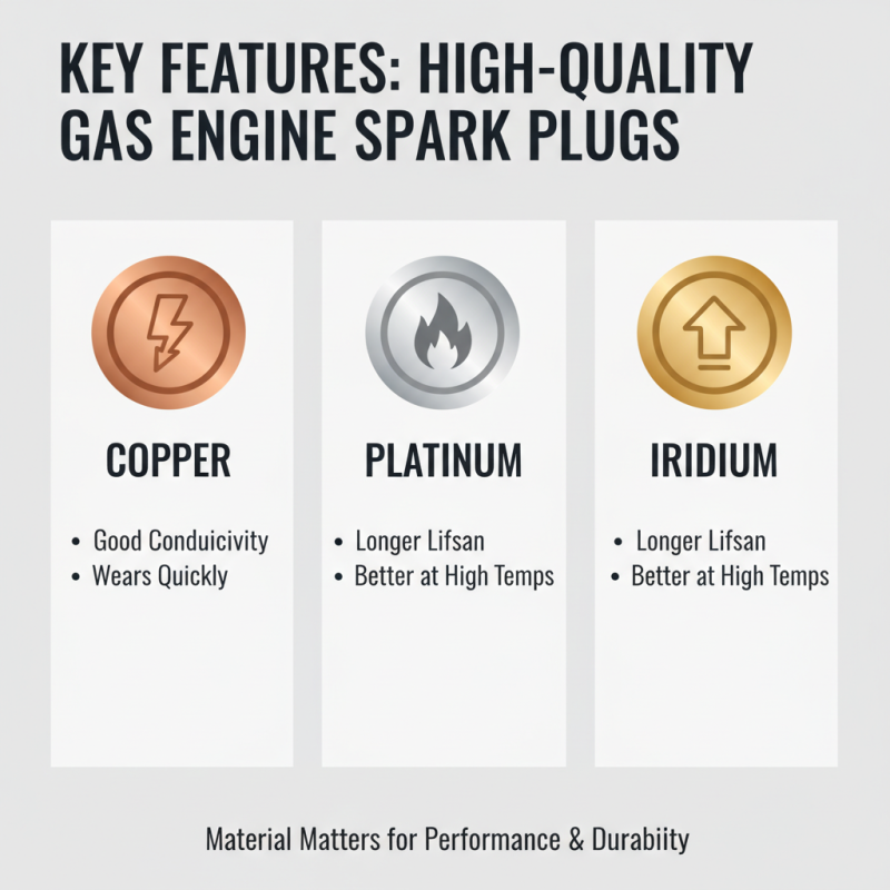 Top 10 Gas Engine Spark Plugs You Should Know About?