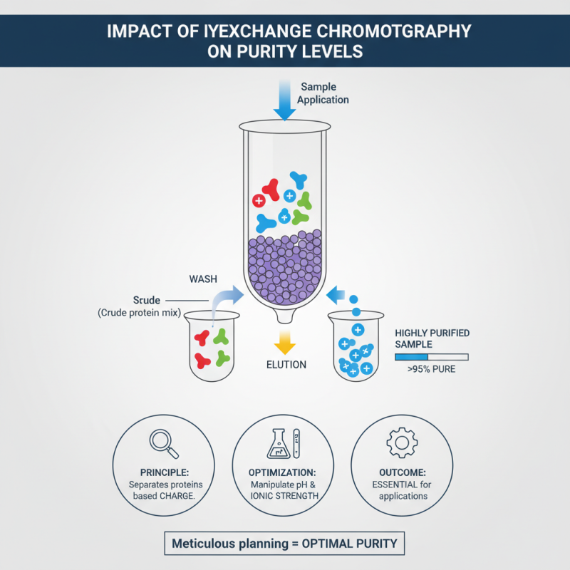 10 Best Recombinant Protein Purification Methods for You?