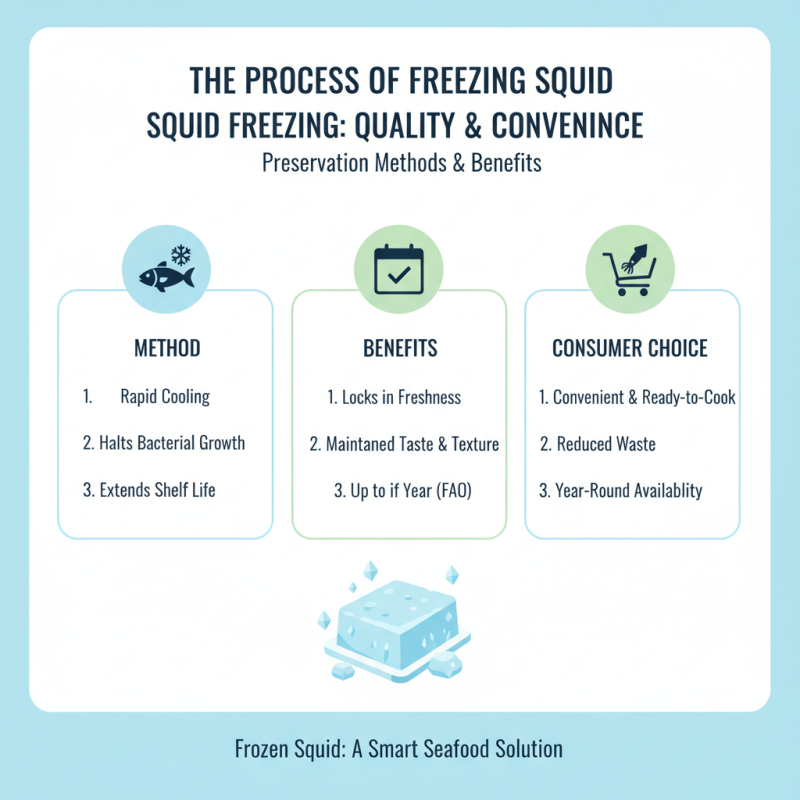 What is Frozen Squid Products and How to Buy Them?