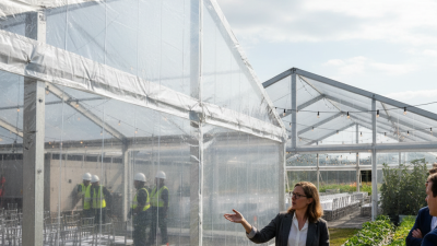 2026 Top Clear Plastic Tarpaulin Uses and Benefits Explained