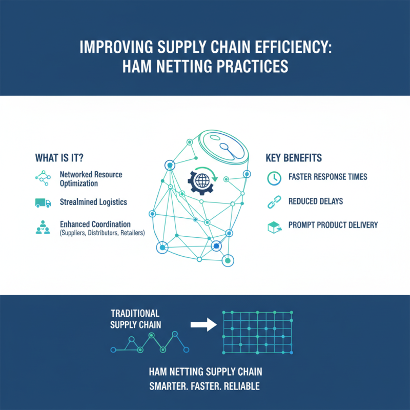 Top 10 Benefits of Ham Netting for Global Buyers?