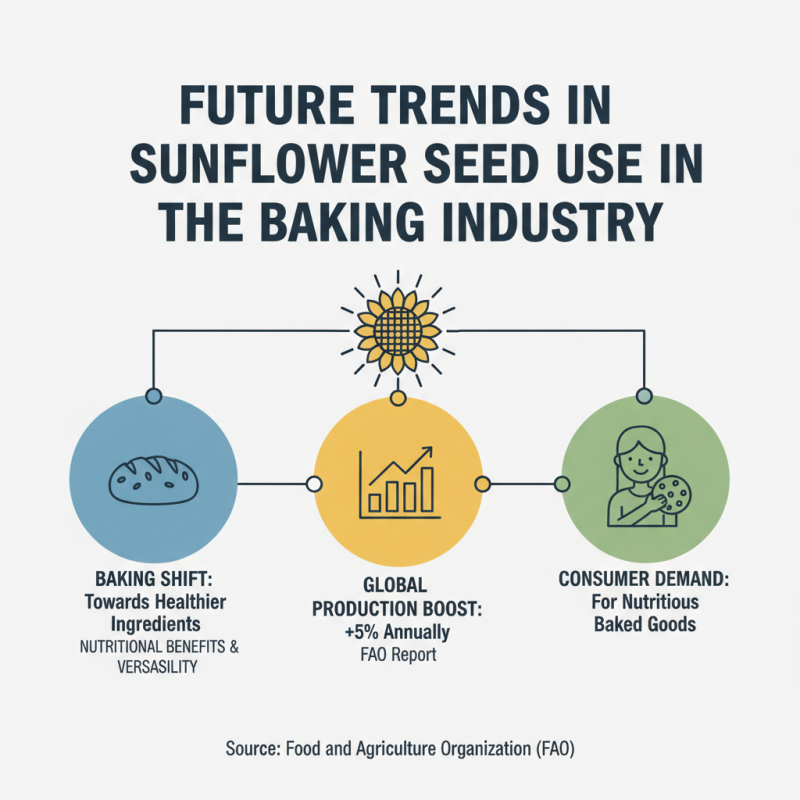 China Top Sunflower Seeds Bakery Grade Importance and Uses in Baking?