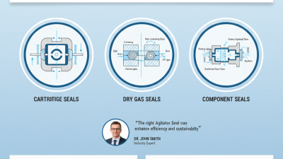 China Top Agitator Seal Types for Efficient Industrial Applications?