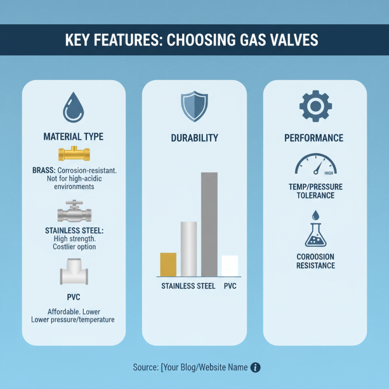 2026 Best Gas Valve Options for Global Buyers?
