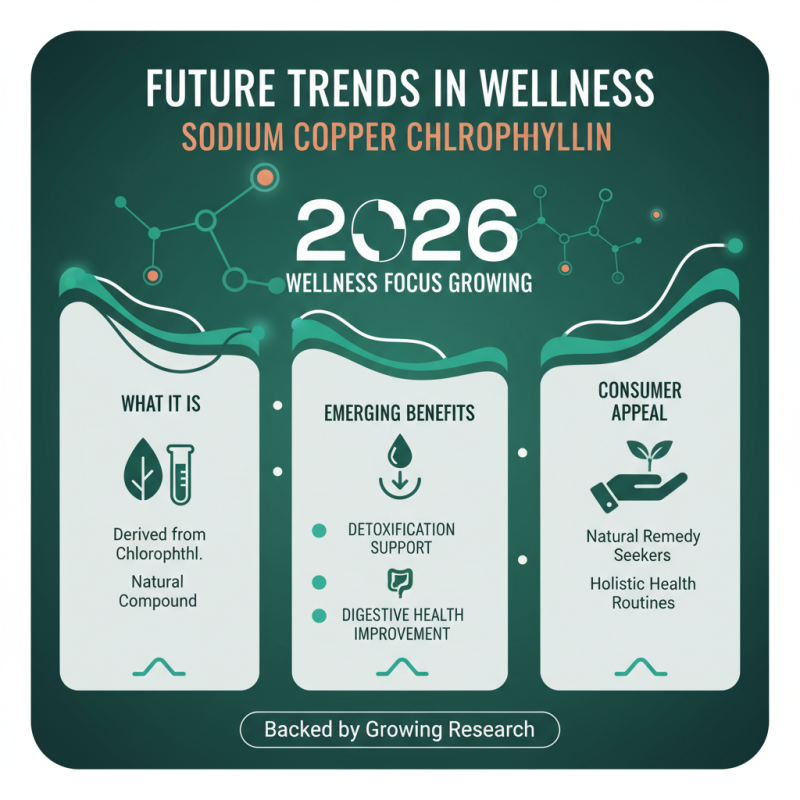 What Are the Benefits of Sodium Copper Chlorophyllin in 2026?