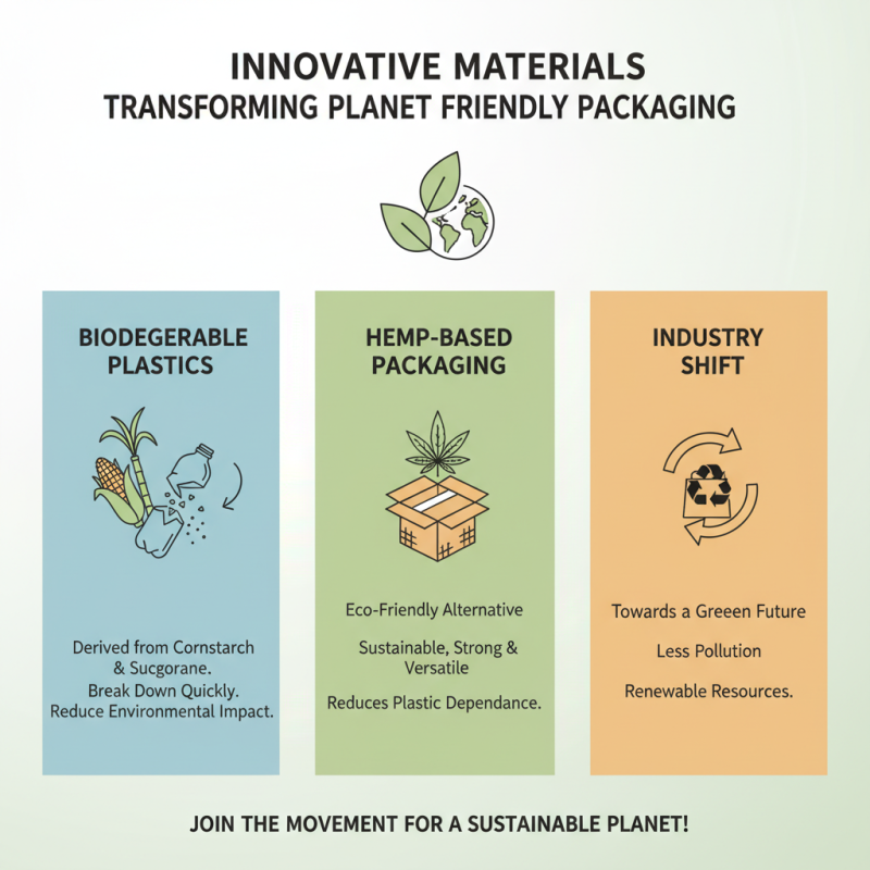 2026 Best Planet Friendly Packaging Solutions for Businesses?