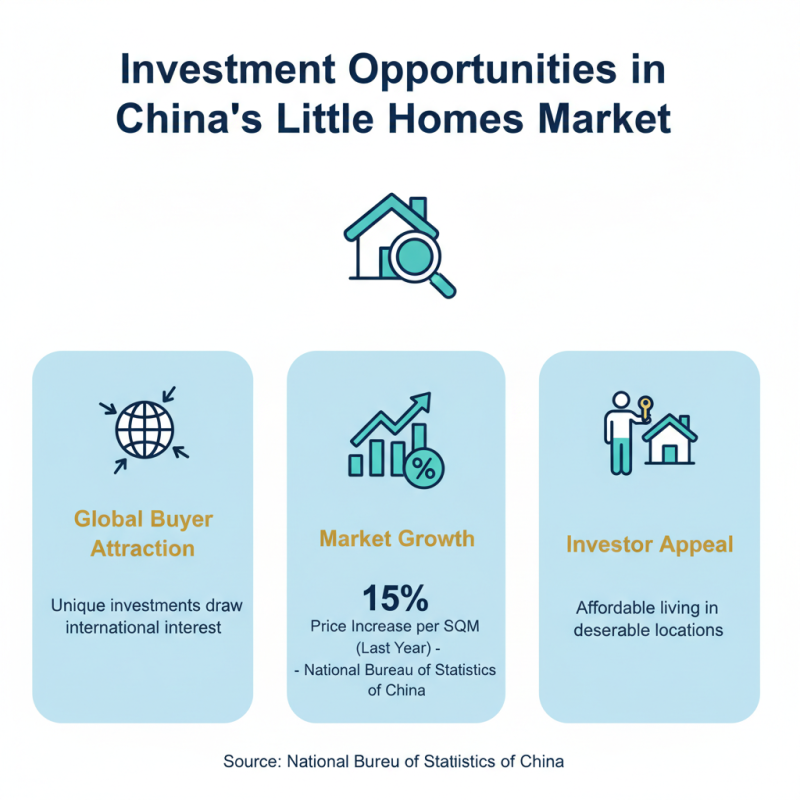 Discover Little Homes in China Top Choices for Global Buyers?