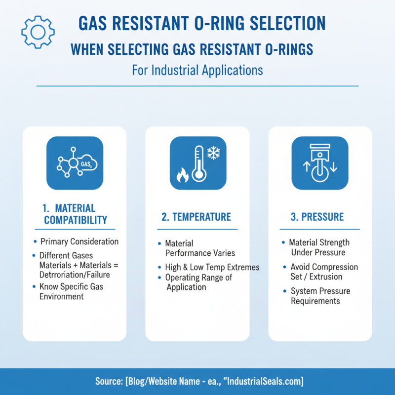 2026 Best Gas Resistant O Rings for Industrial Applications?