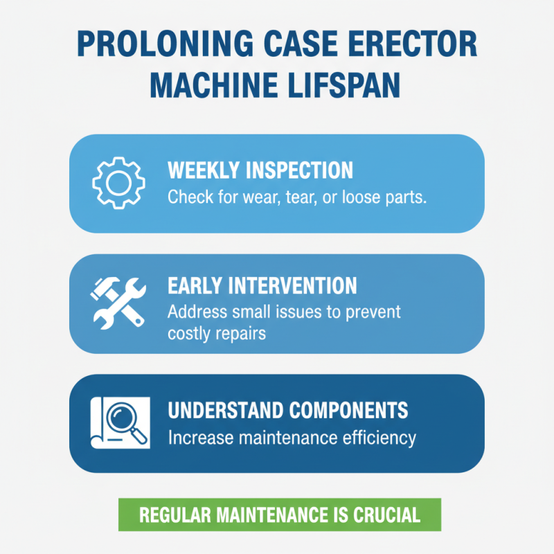 Case Erector Machine Top Tips for Optimal Efficiency?