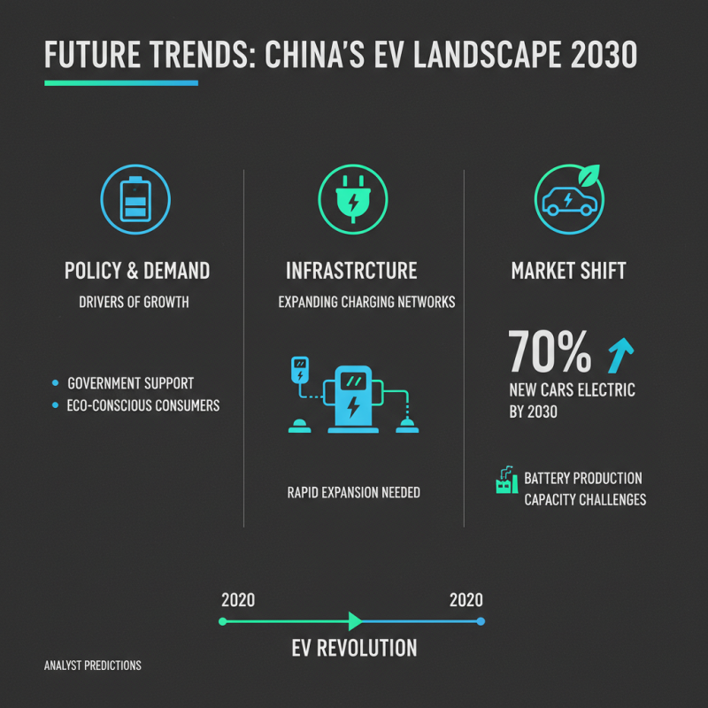 China Top EV Vehicles for a Sustainable Future?