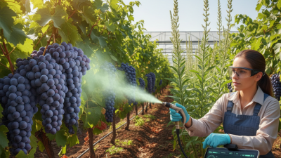 How to Use Gibberellic Acid for Plant Growth in 2026?