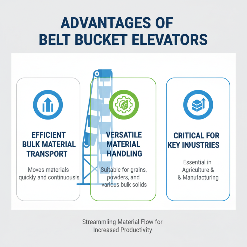 2026 Best Belt Bucket Elevator Features and Benefits Explained?