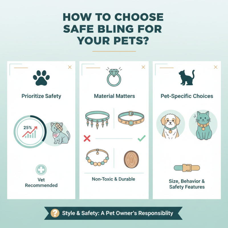 How to Choose Safe Bling for Your Pets?