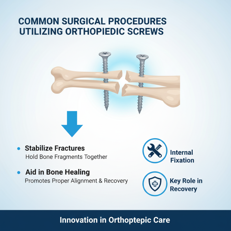 Top 10 Orthopedic Screws in China Which One Is Right for You?