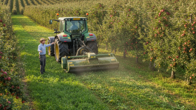 Top 5 Tips for Choosing the Best Orchard Flail Mower?