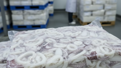 China Top Frozen Squid Suppliers for Global Buyers?