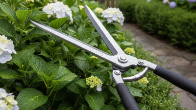 Why Choose the Best Garden Bush Trimmer for Your Needs?
