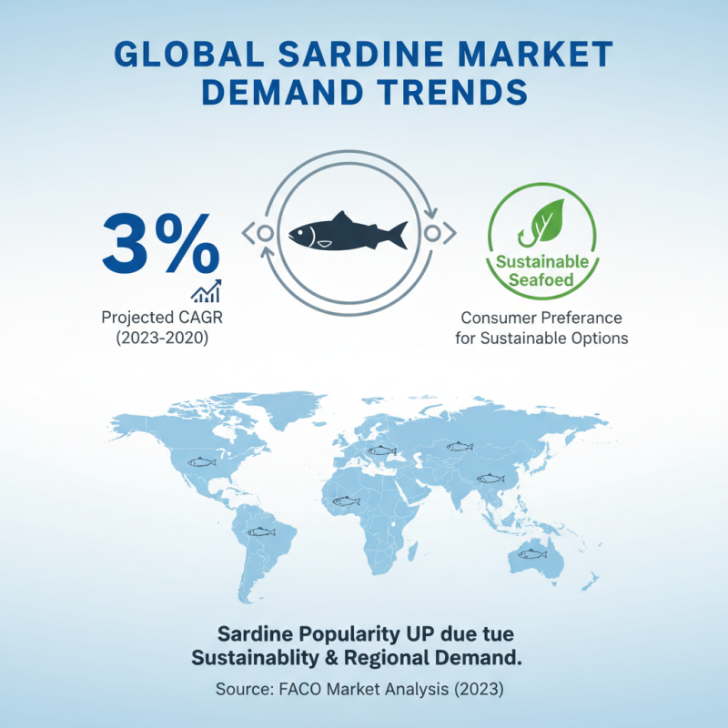 Why Are Sardine Fish a Top Choice for Global Buyers?