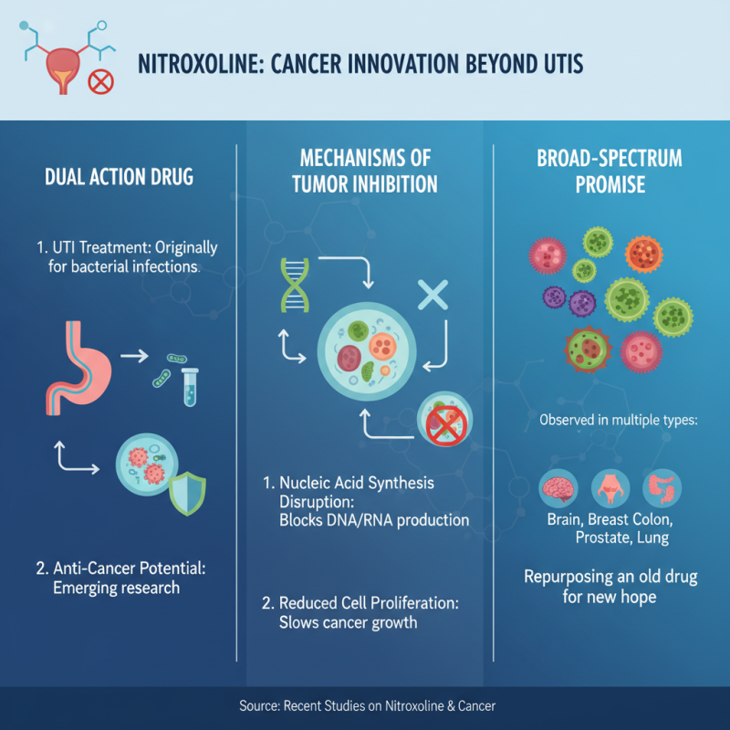 What is the Mechanism of Nitroxoline in Cancer Treatment?