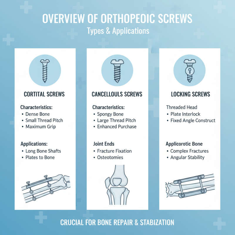 Top 10 Orthopedic Screws in China Which One Is Right for You?