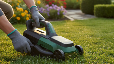 Why Choose a Handheld Lawn Mower for Your Garden Needs?