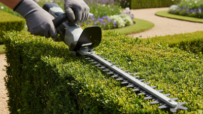 Best Angled Hedge Trimmer for Precision Trimming Needs?