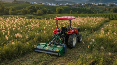 Discover the Perfect Flail Mower for Your China Best Needs?