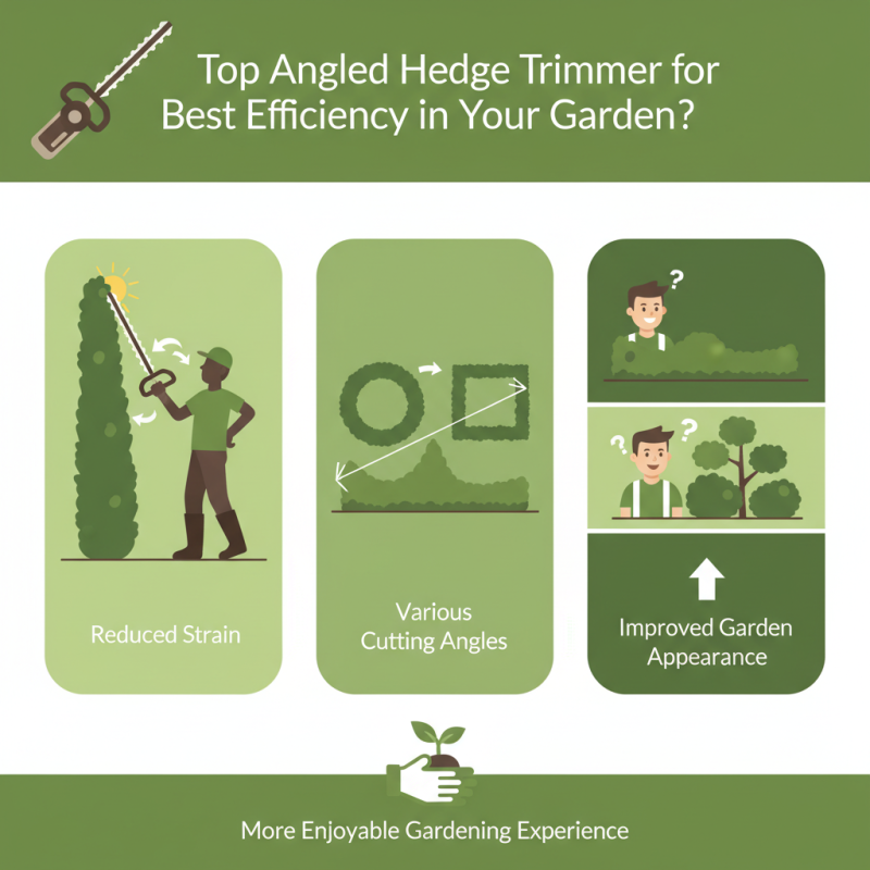 Top Angled Hedge Trimmer for Best Efficiency in Your Garden?