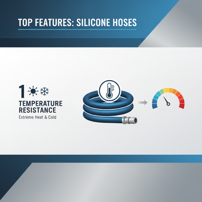 Top 10 Colorful Silicone Hoses for Global Buyers?