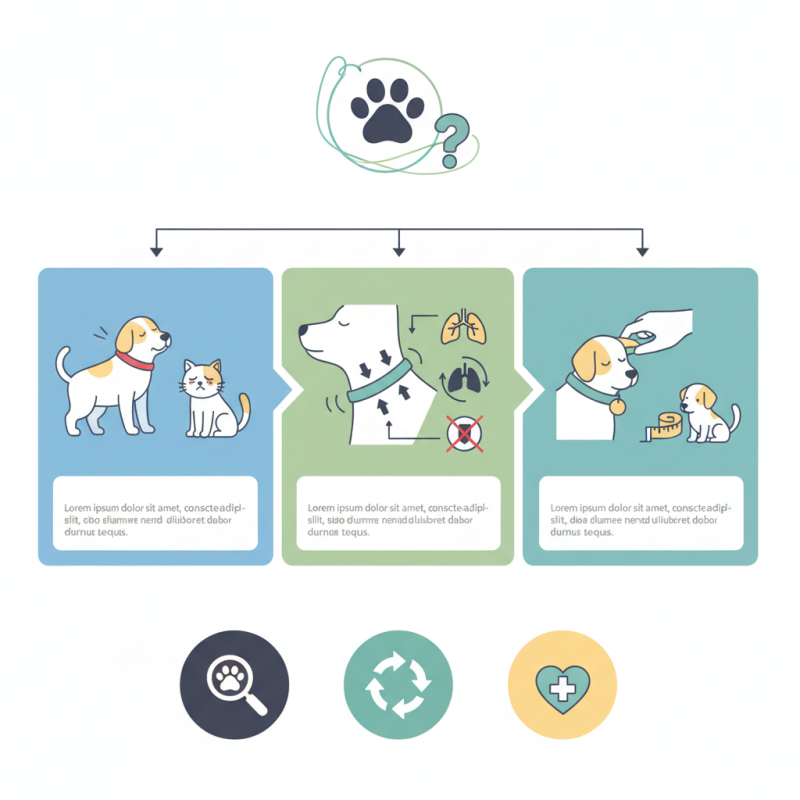 What to Do If Your Pet Collar Is Too Tight?