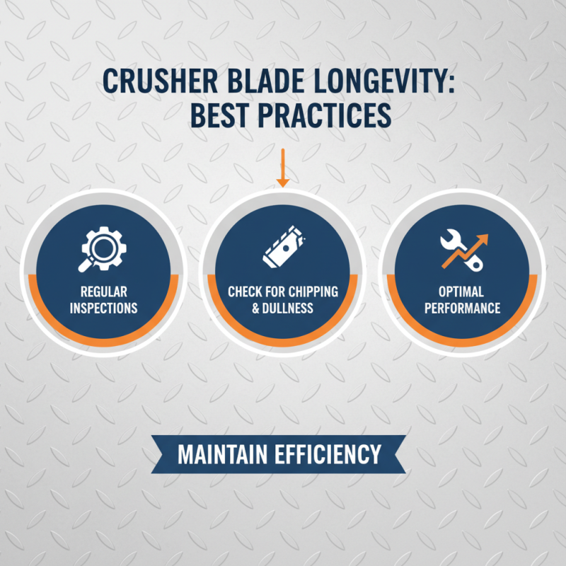 Why is Crusher Blade Essential for Your Industrial Needs?