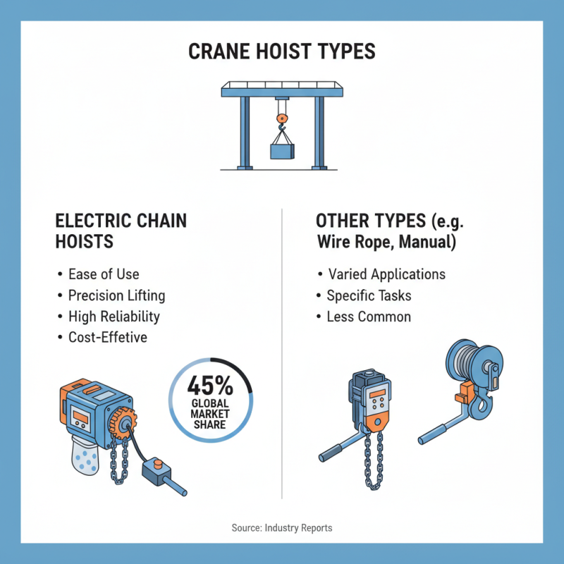 Top 10 Cranes Hoist Options for Efficient Lifting Solutions?