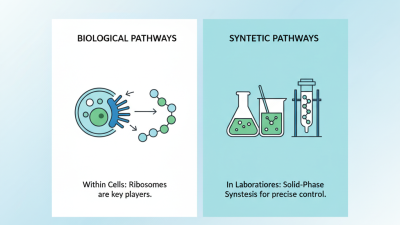 2026 How to Find Where Are Peptides Synthesized?