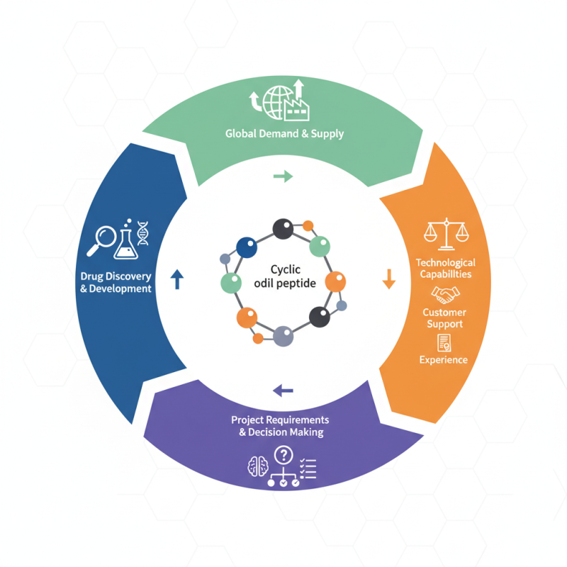 2026 Best Cyclic Peptide Synthesis Services for Global Buyers?