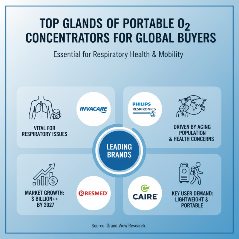 Best Portable O2 Concentrator Options for Global Buyers?
