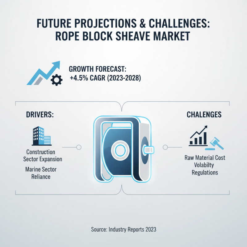 2026 Top Rope Block Sheaves for Global Buyers Insights?