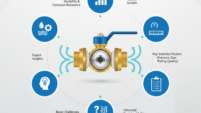2026 Top Brass Nickel Plated Ball Valve Buying Guide?