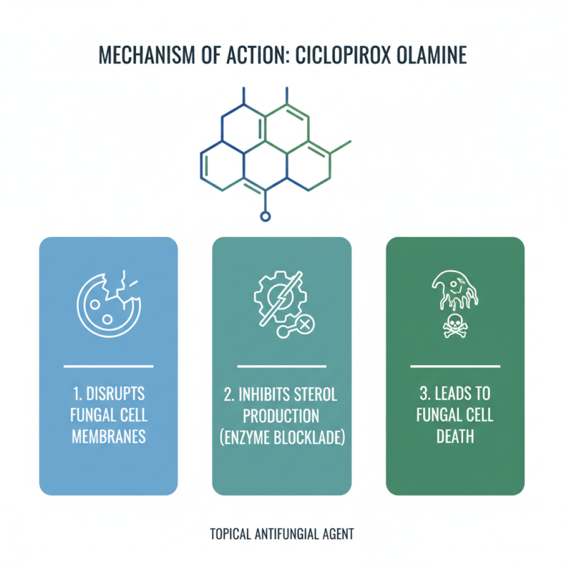 2026 Best Ciclopirox Olamine Uses and Benefits for Buyers?