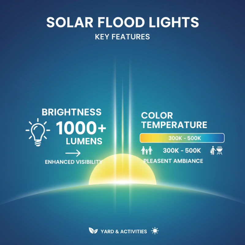 10 Best Solar Flood Lights Outdoor for Brightening Your Yard?