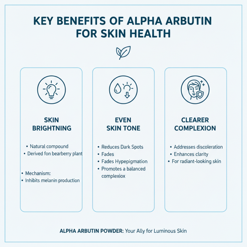 Discover the Benefits of Alpha Arbutin Powder for Skincare?