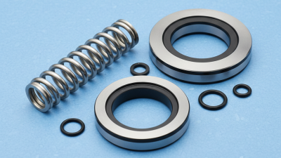 China Top Single Spring Seals Guide to Quality and Selection?