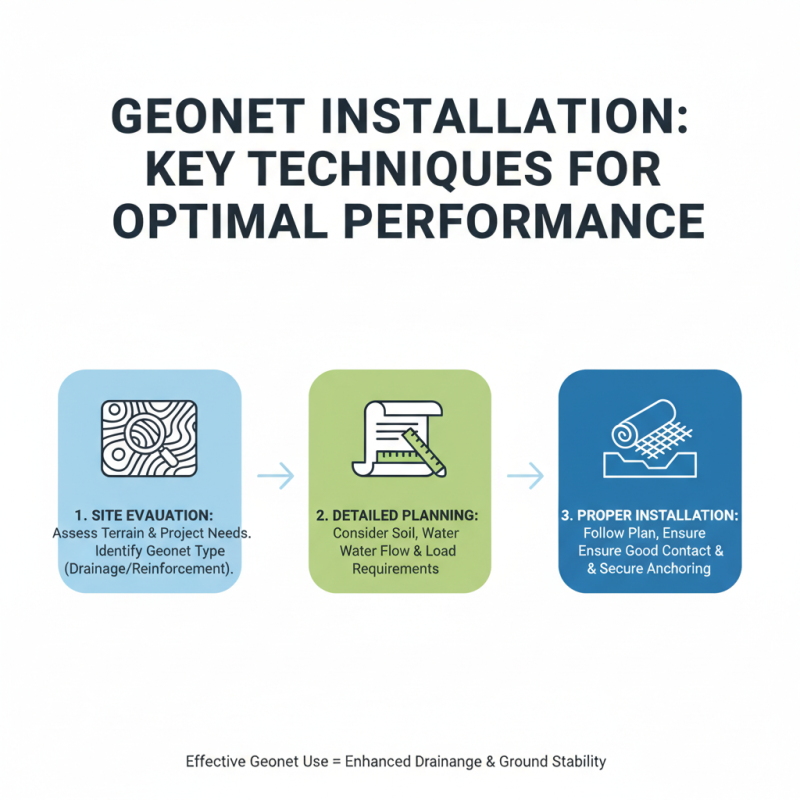 10 Essential Tips for Using Plastic Geonet in Your Projects?