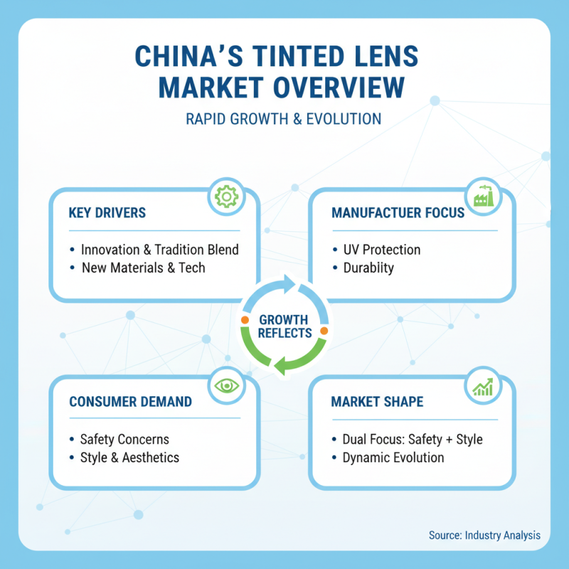 Top 10 Tinted Lenses from China for Global Buyers?